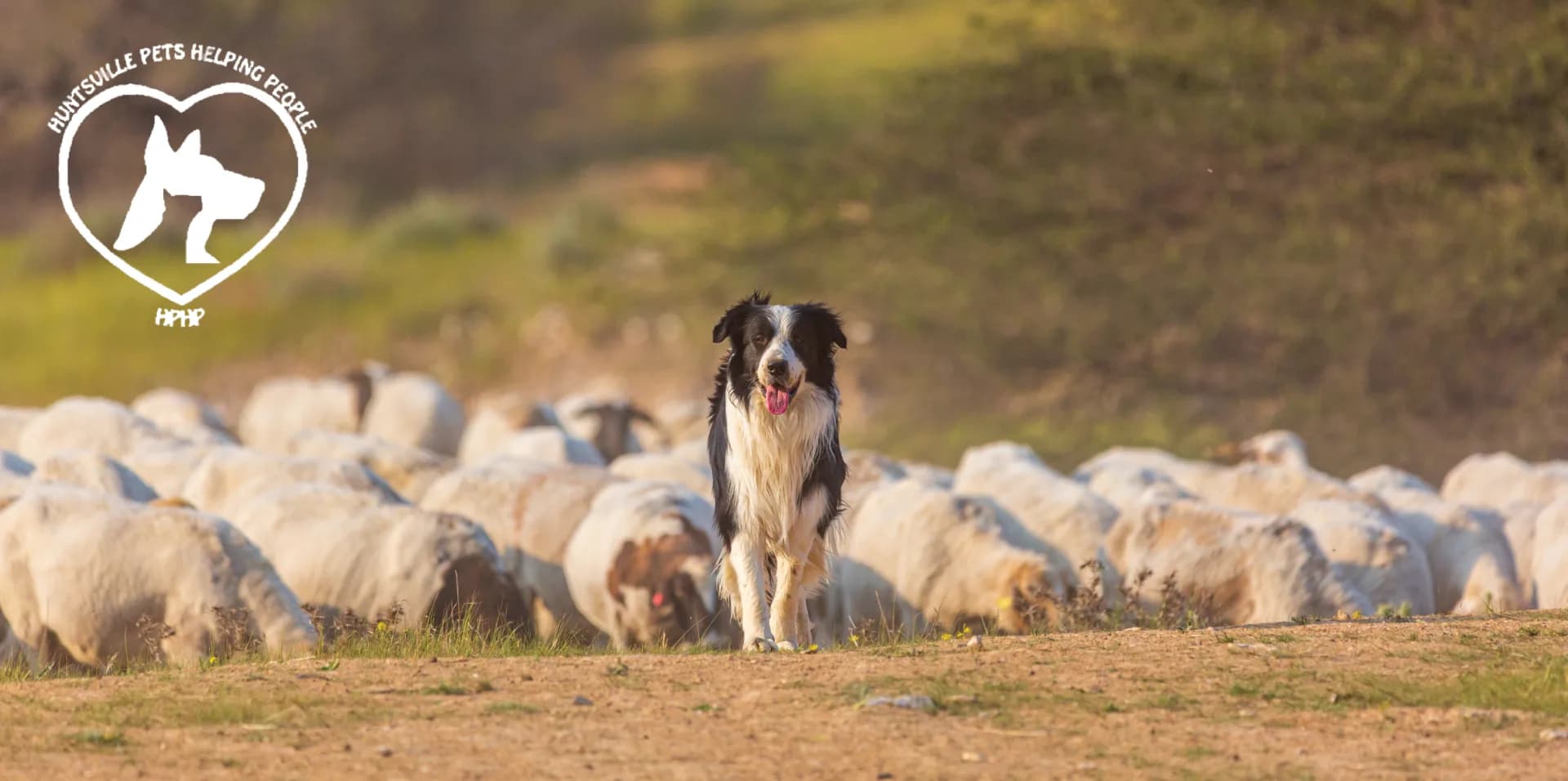 Pets Helping People