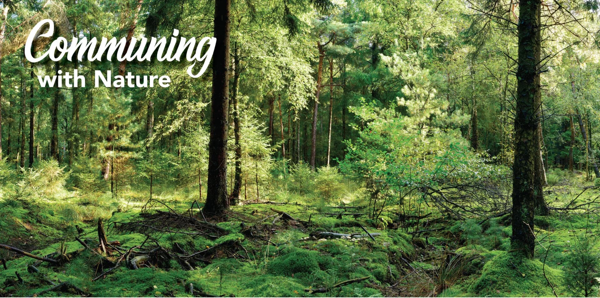 Communing with Nature-03-03
