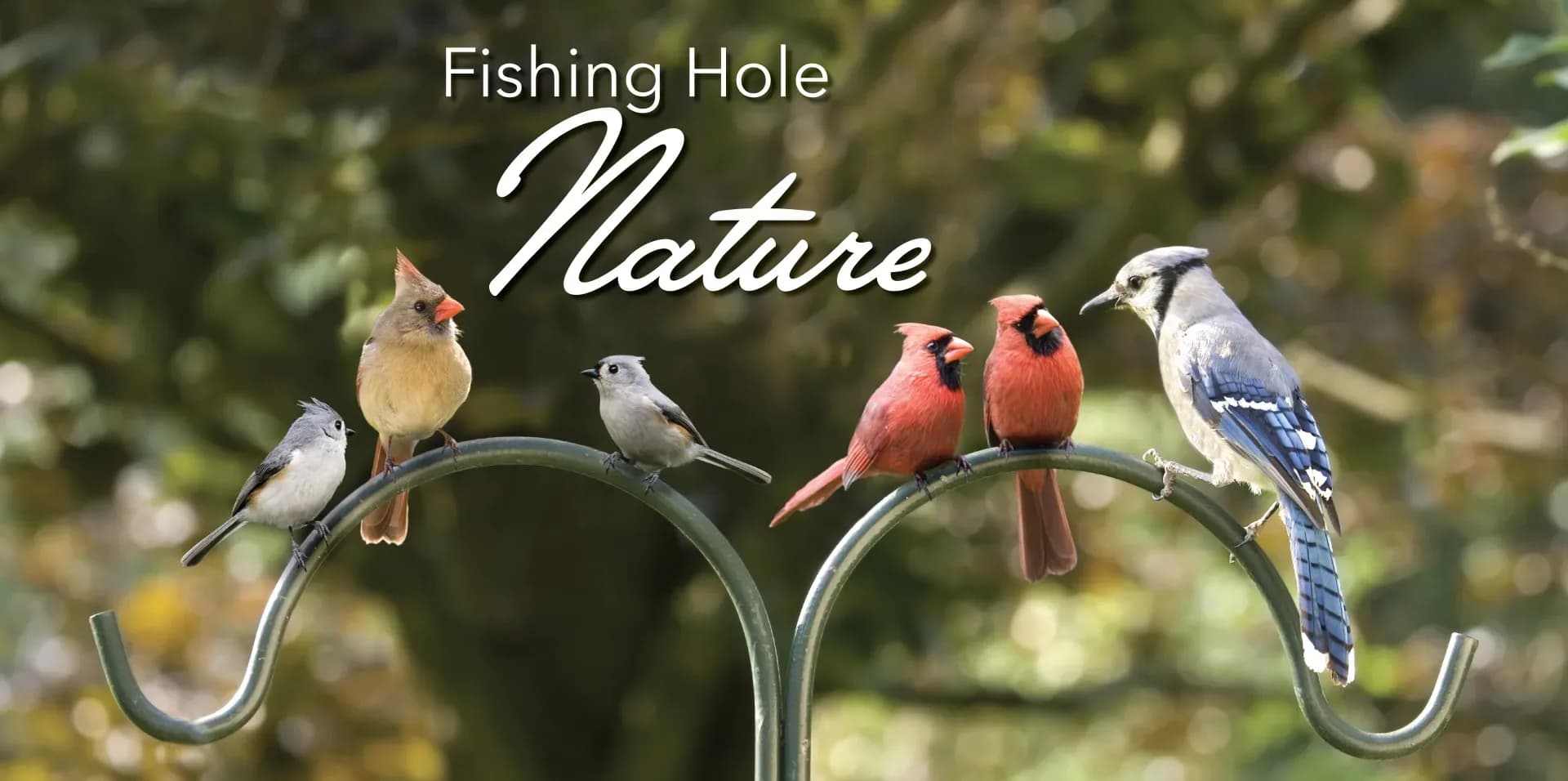 Fishing Hole Nature4