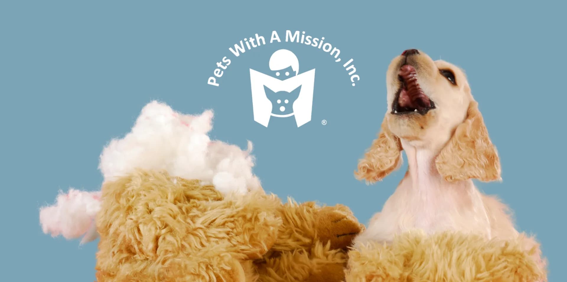 Pets With A Mission June