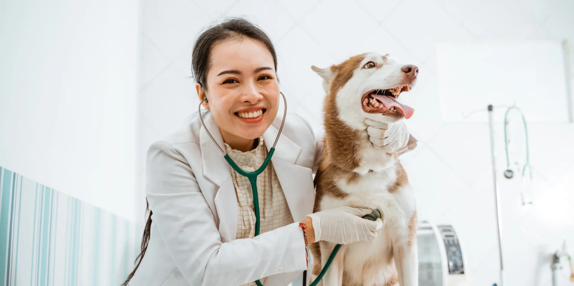 Pets with a mission August 24