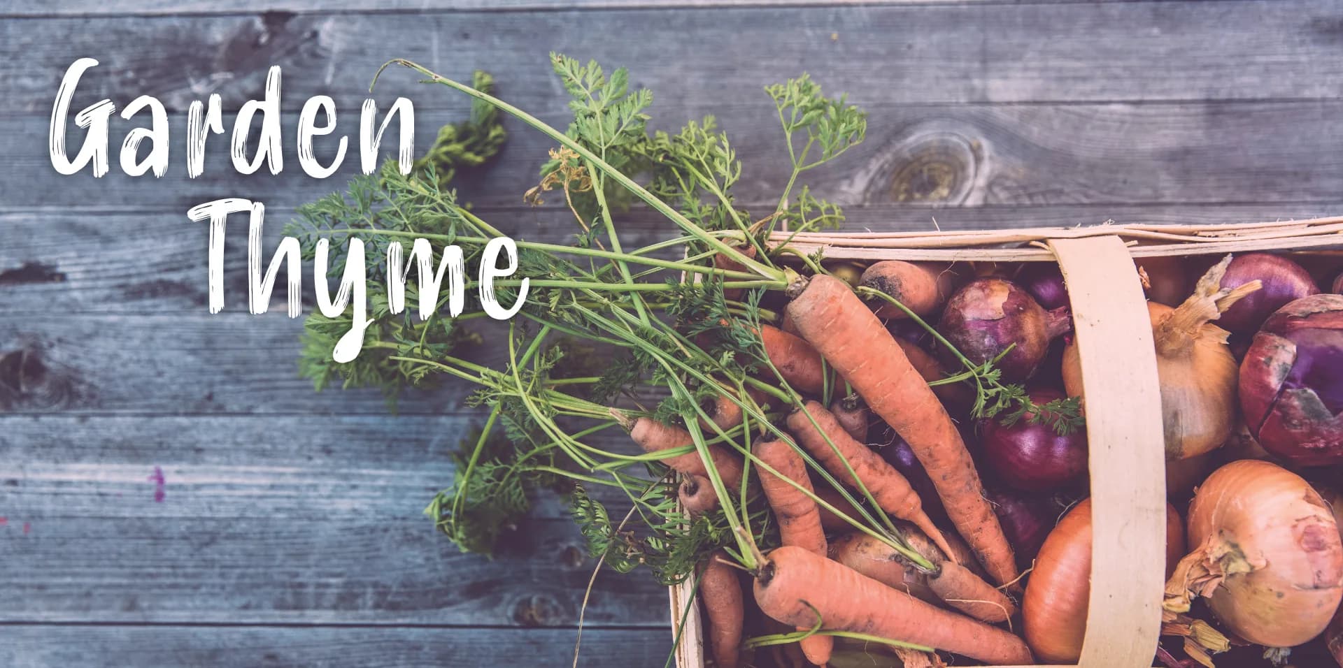 Garden Thyme Header 3