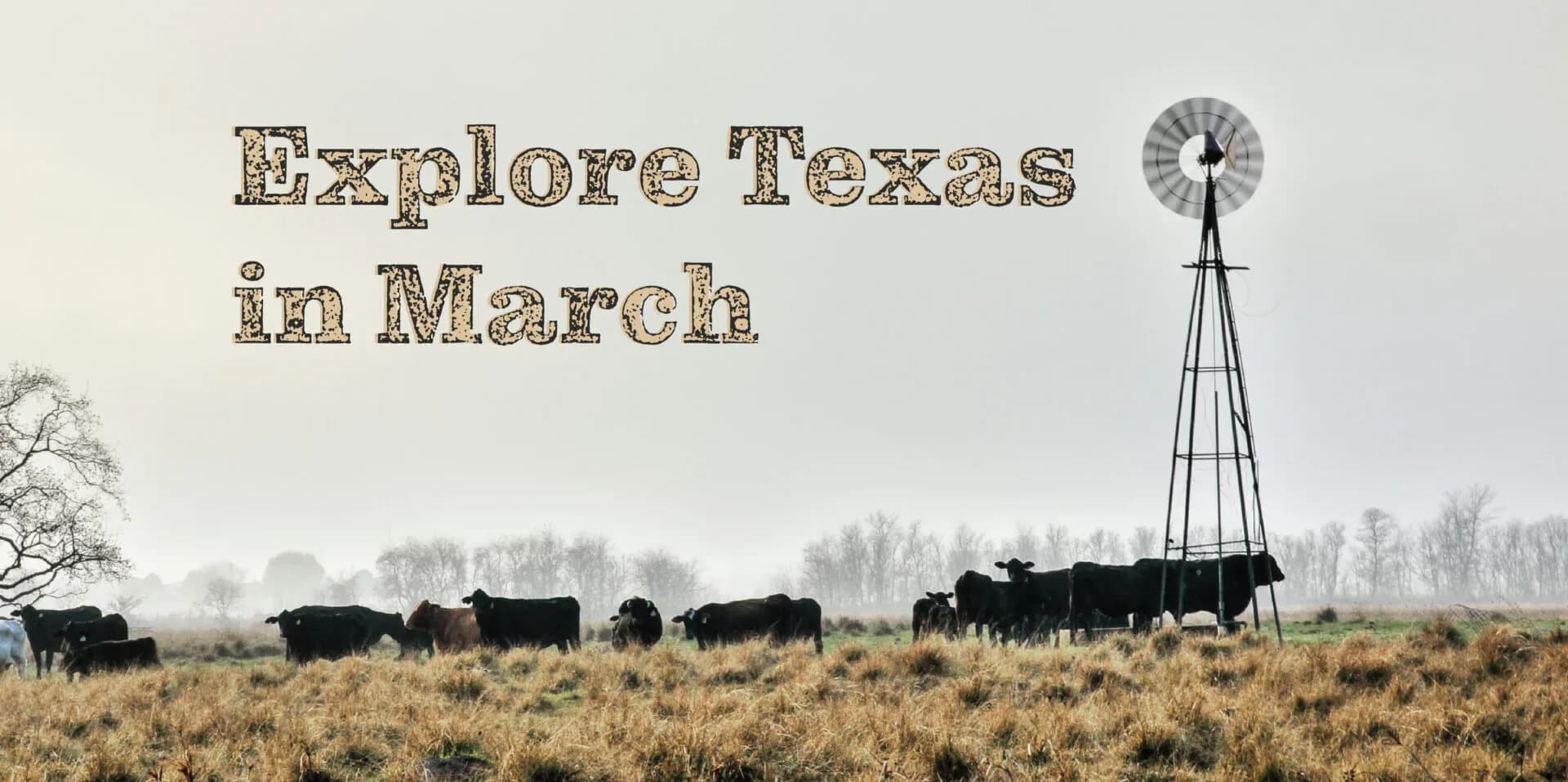 Texas in March
