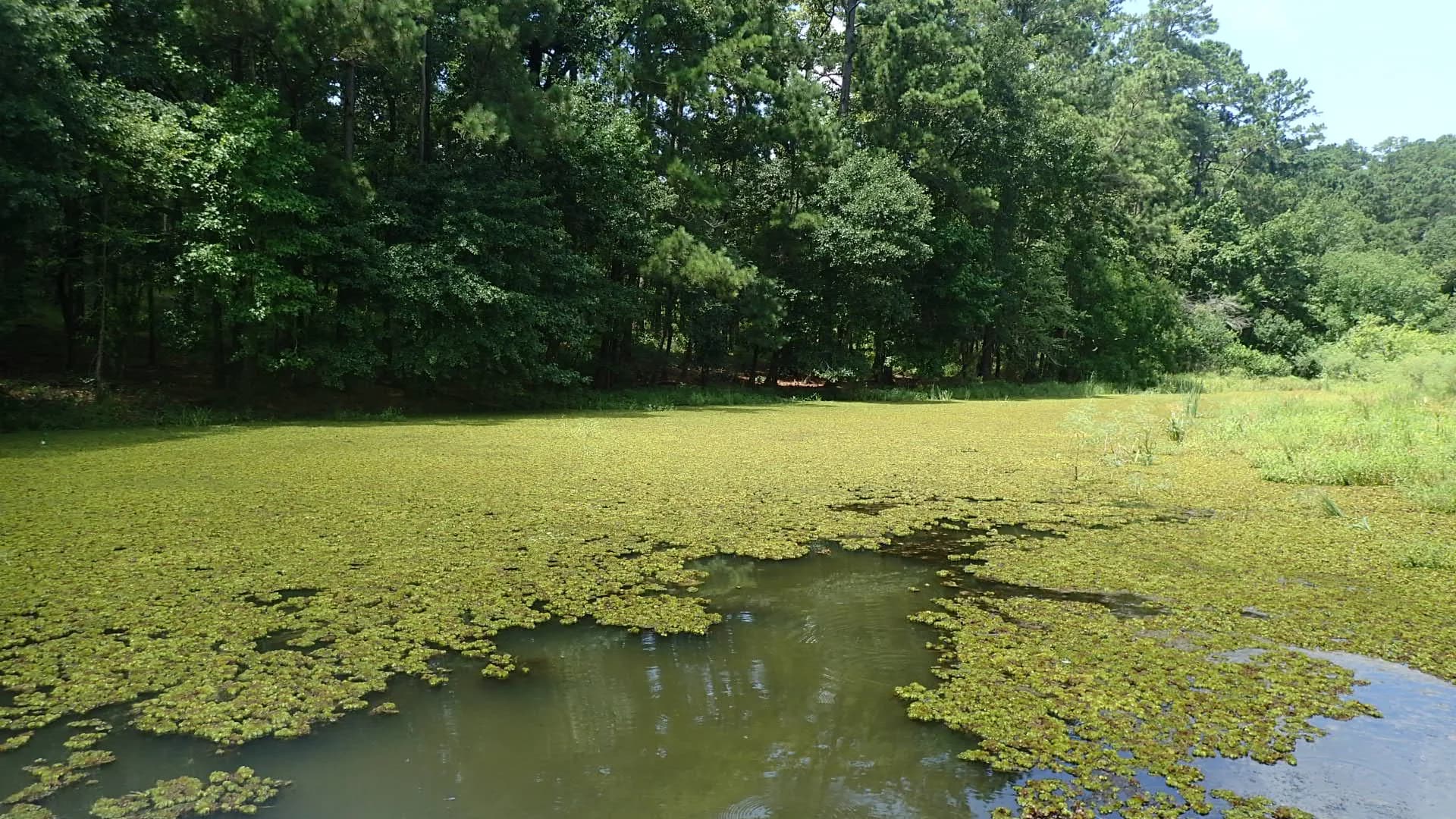 Texas Parks & Wildlife
