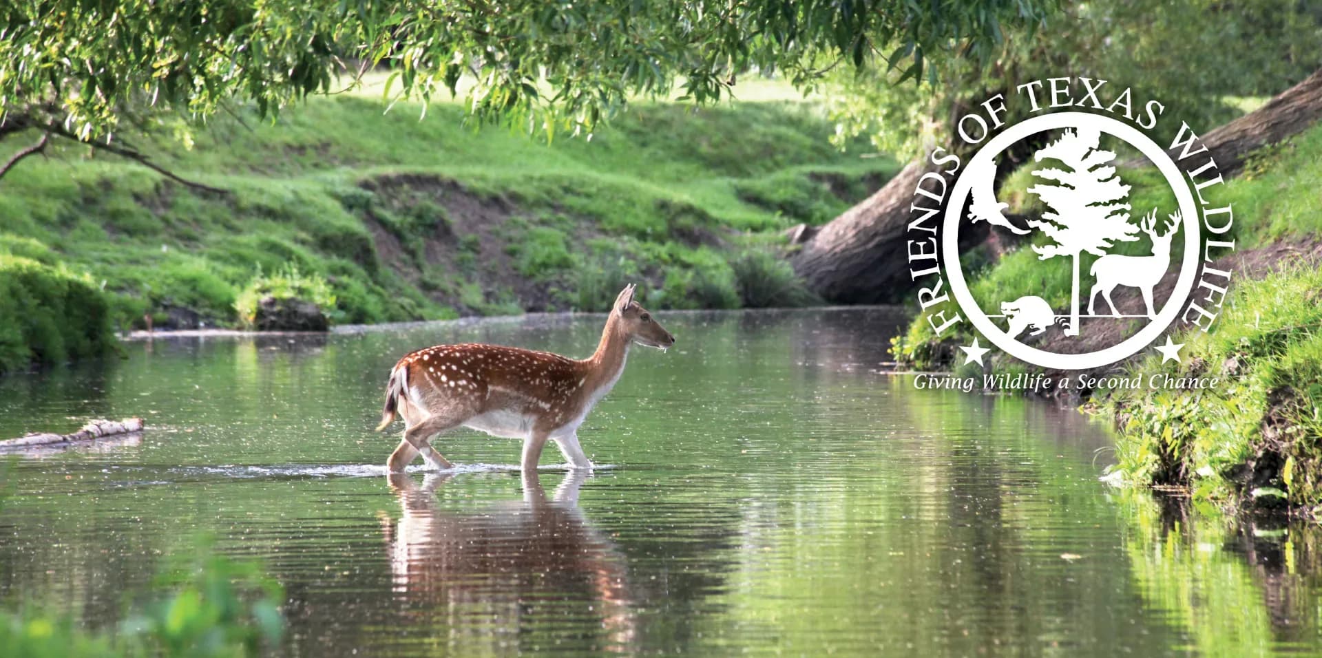 friends of texas wildlife3
