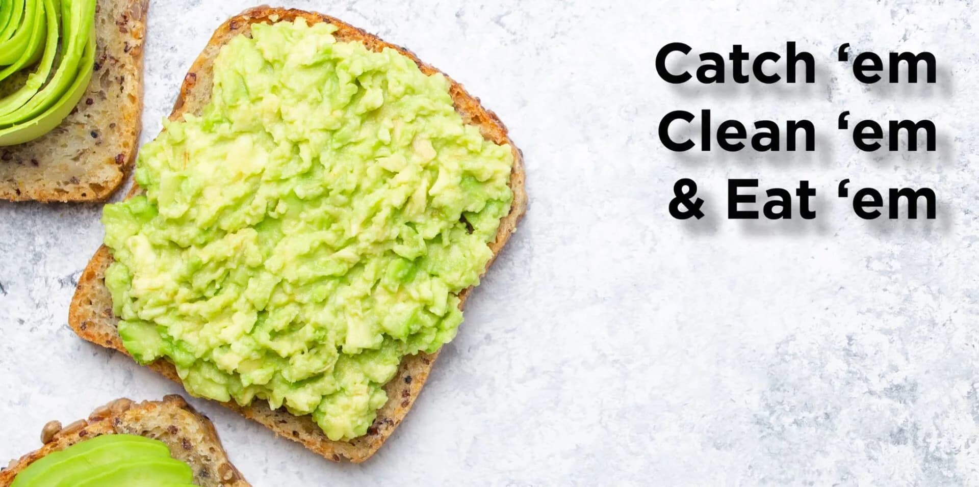 avocado toast Header Sept 23