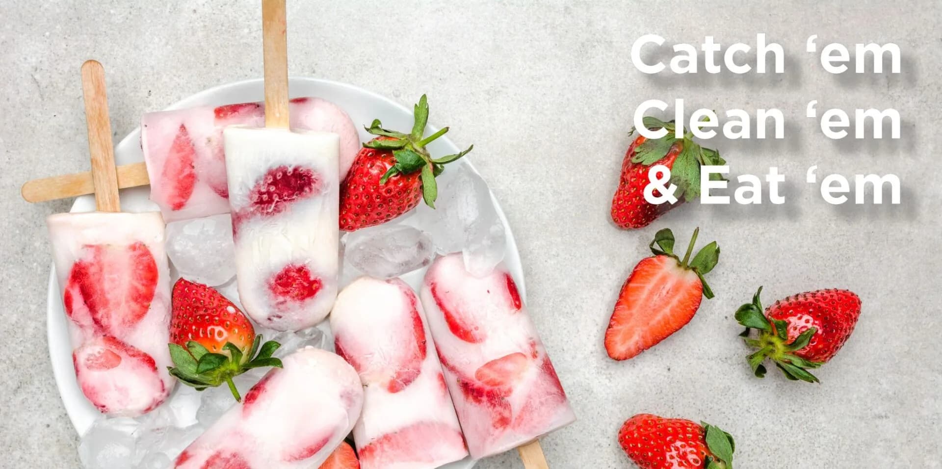 Fruit pops Header Sept 23