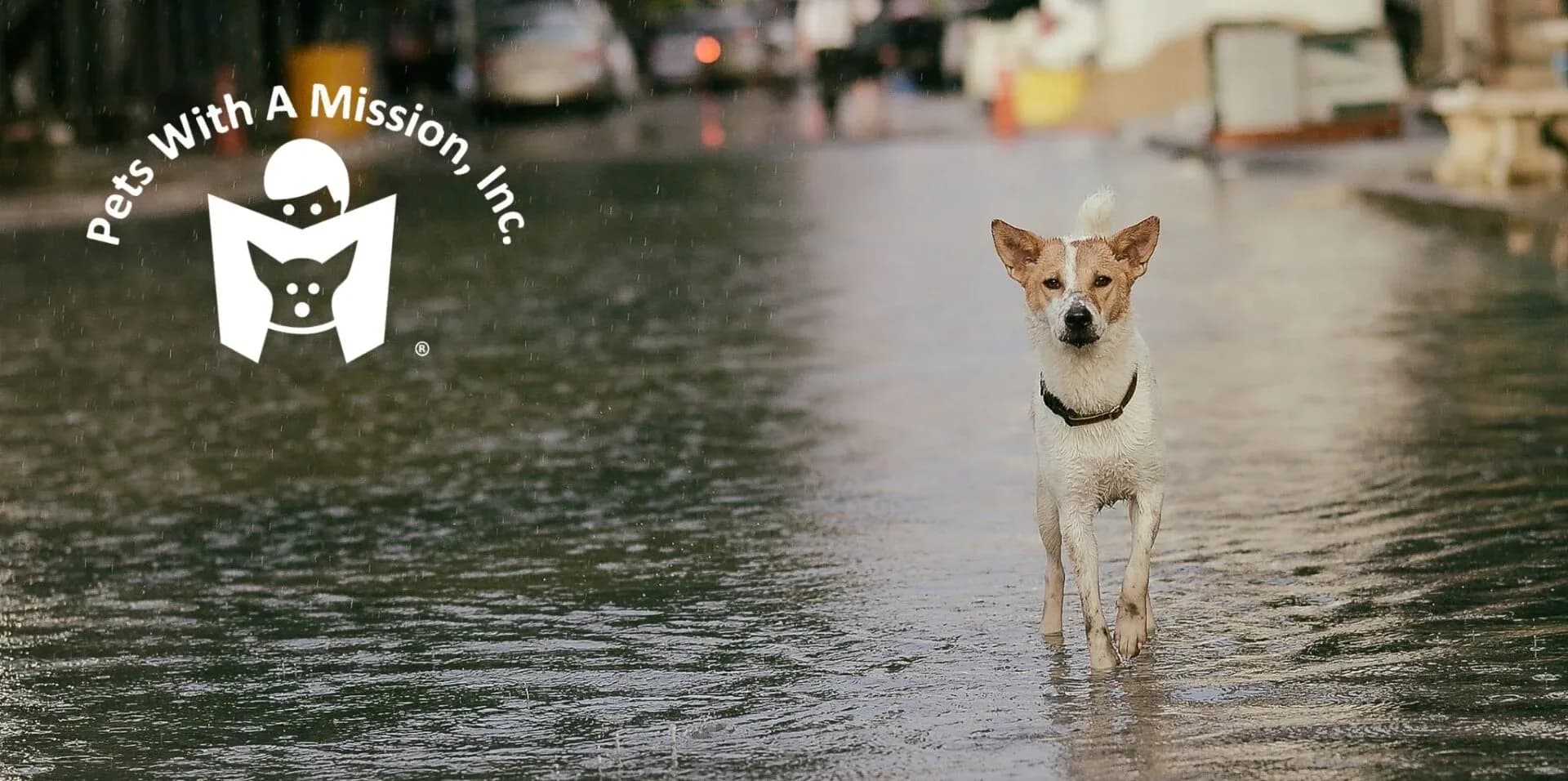 pets with a mission Oct 23