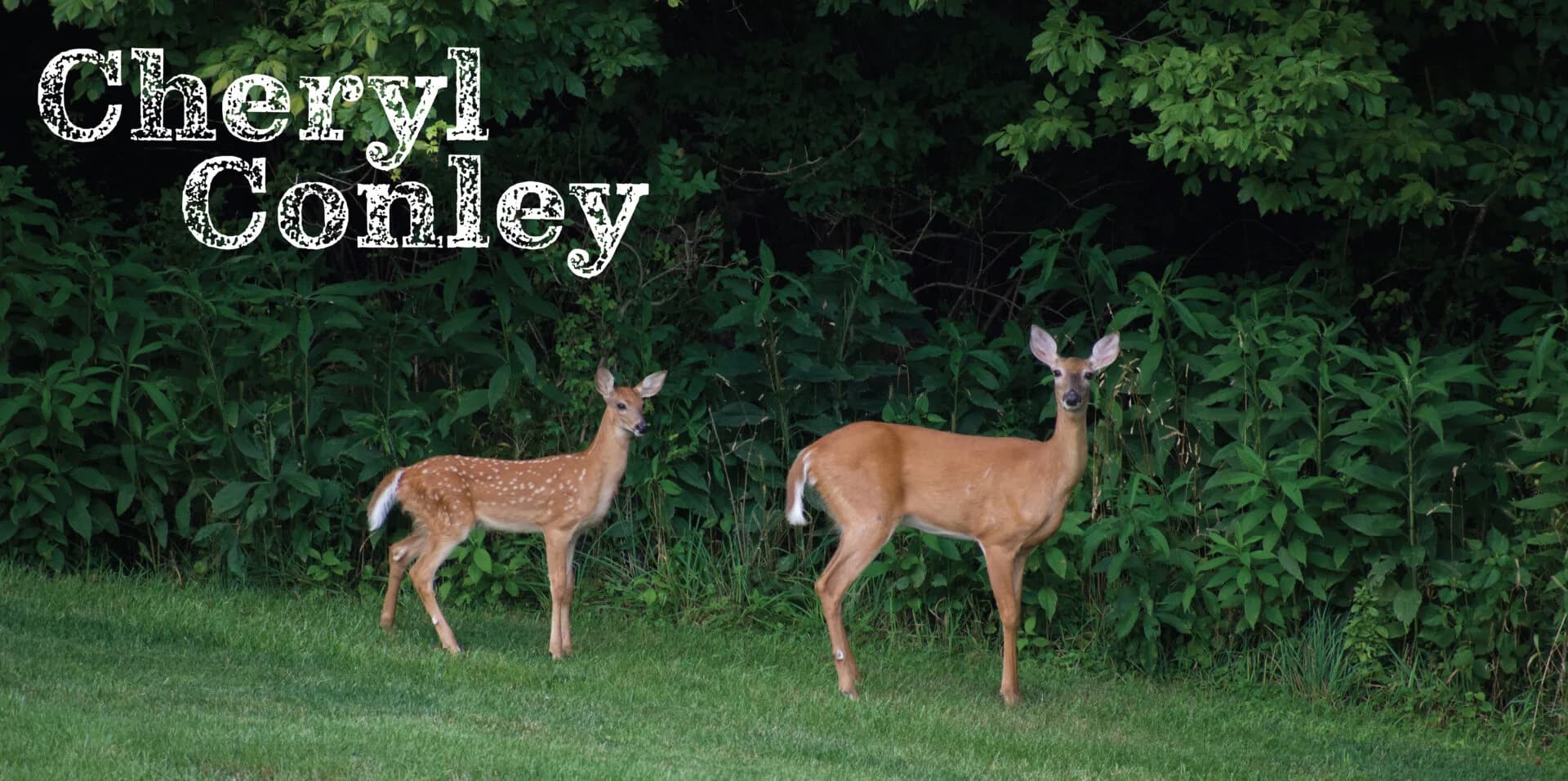 Cheryl Conley-11