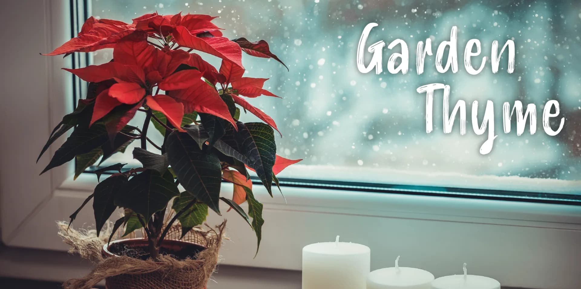 Garden Thyme-15