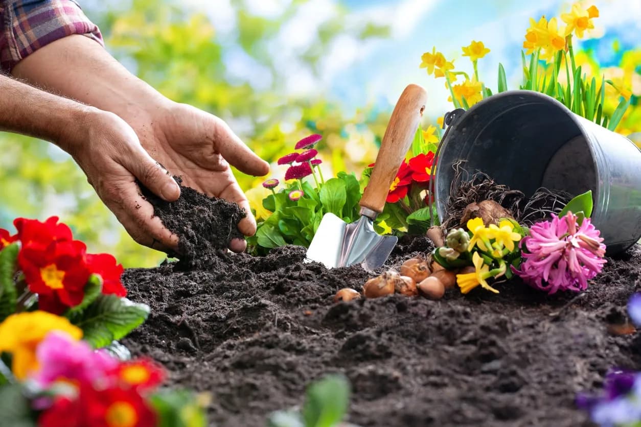 gardening as a hobby