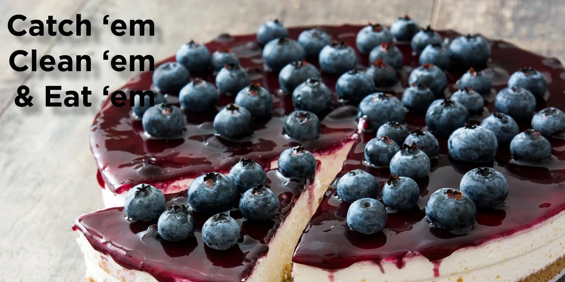 blueberry-01
