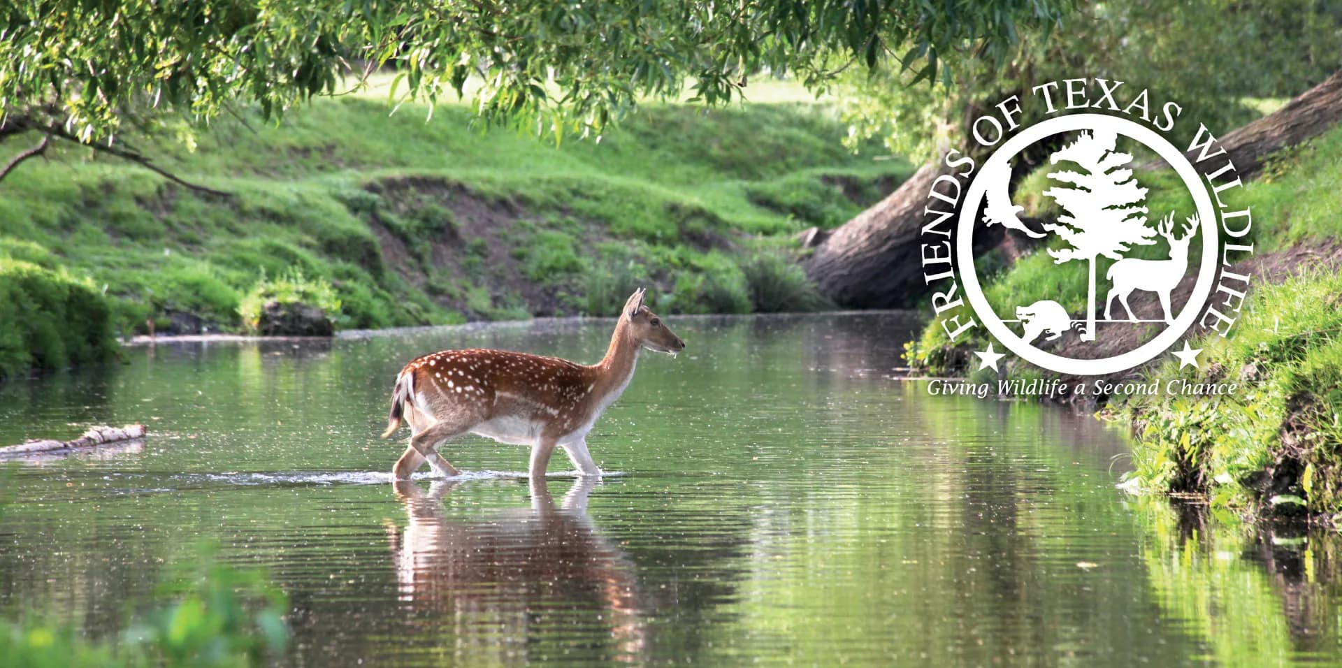 friends of texas wildlife3