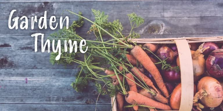 Garden Thyme Header 3