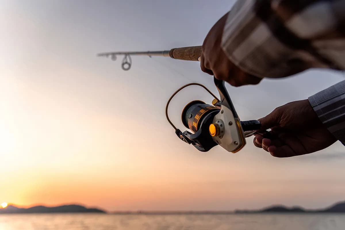 Fish News June 2021