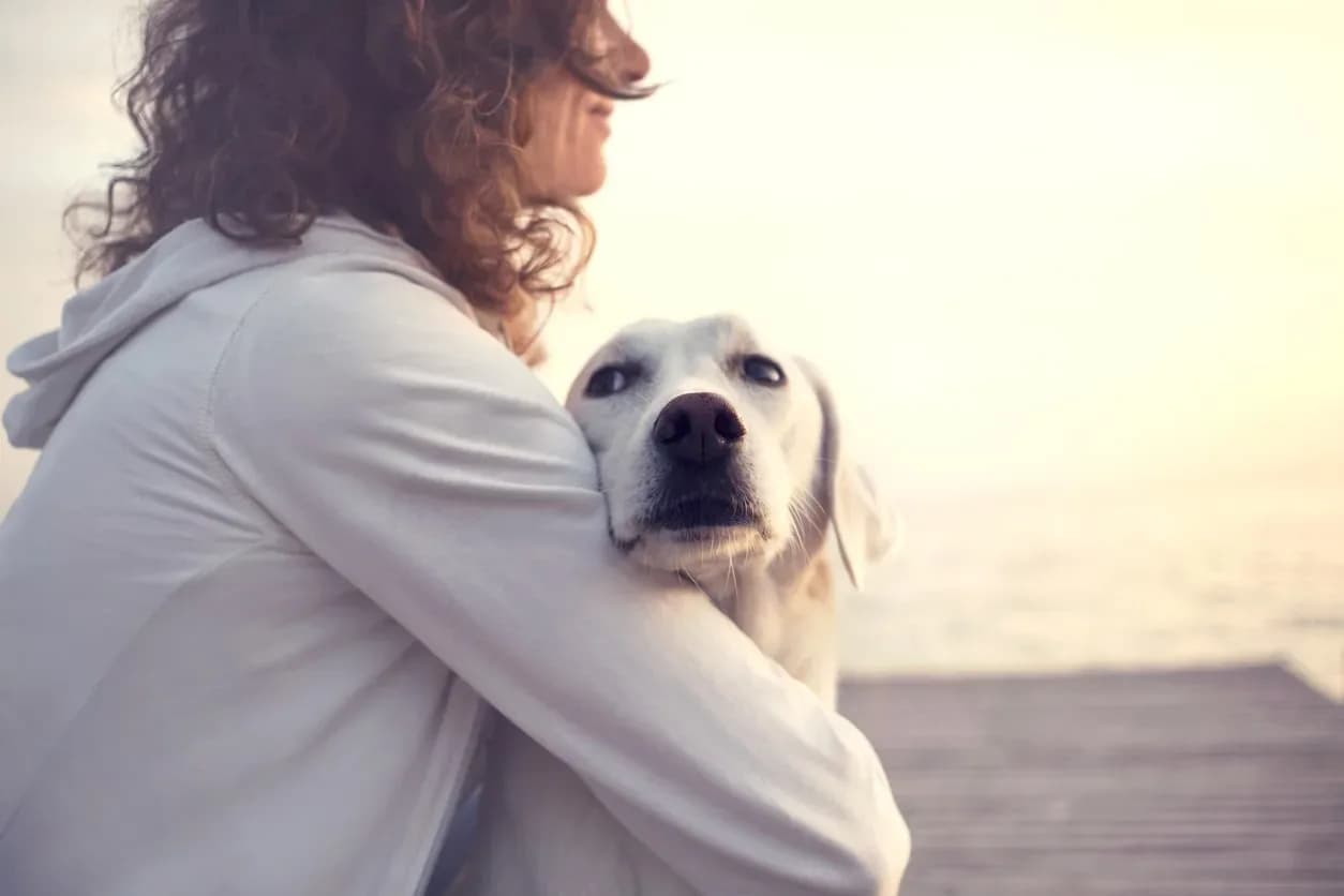My Family Vet Caring for your pet like family