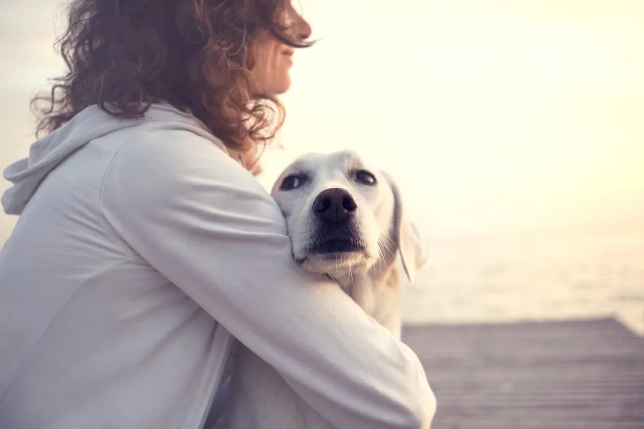 My Family Vet Caring for your pet like family