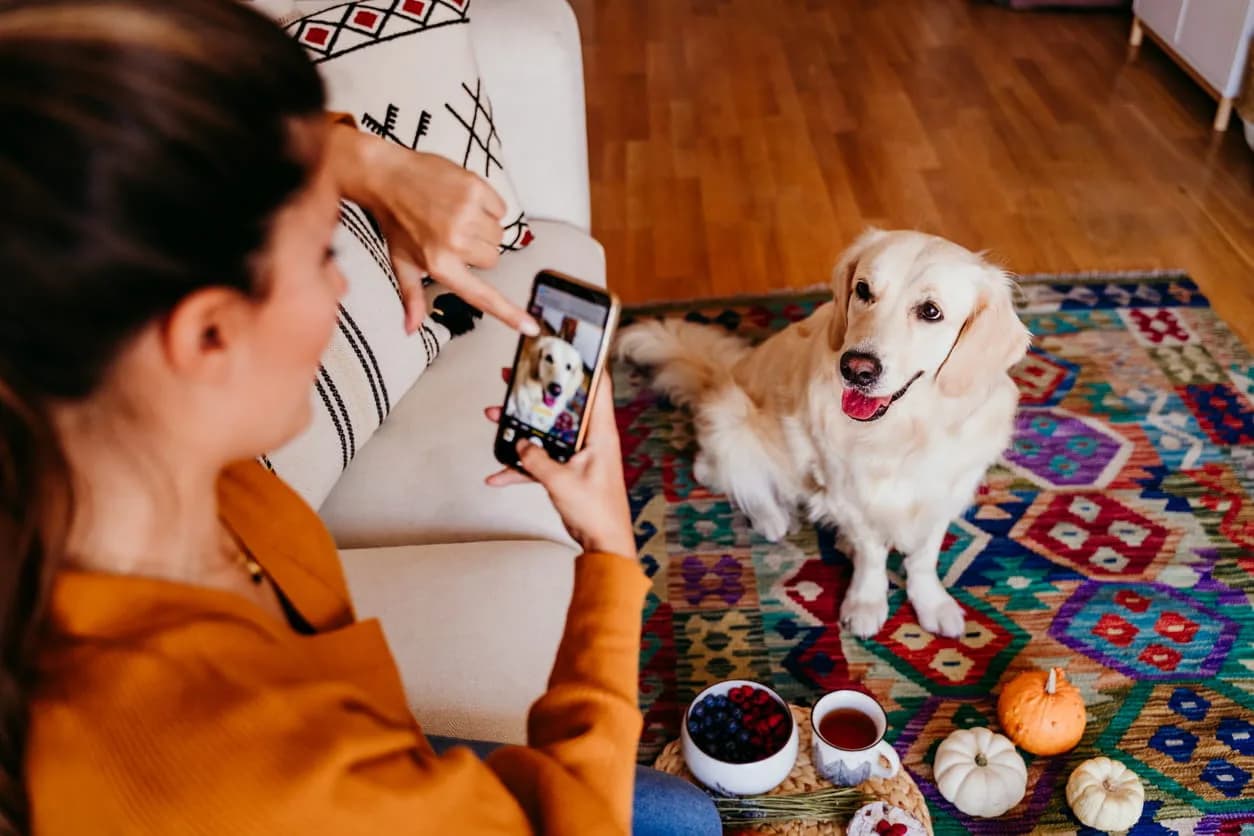 A Guide to Taking Great Pet Photos