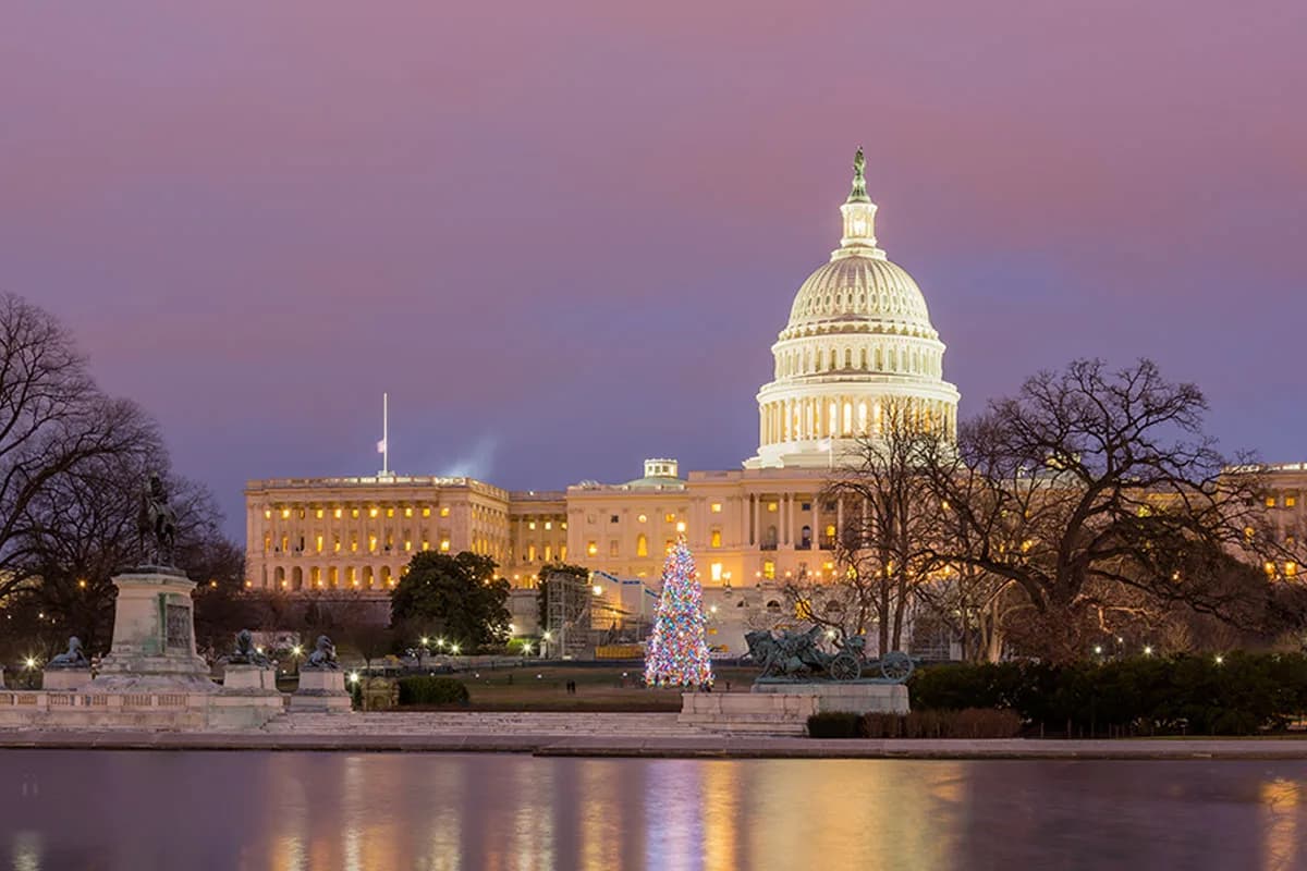 national-christmas-tree