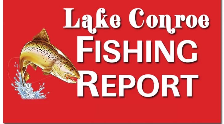 Fishing Report