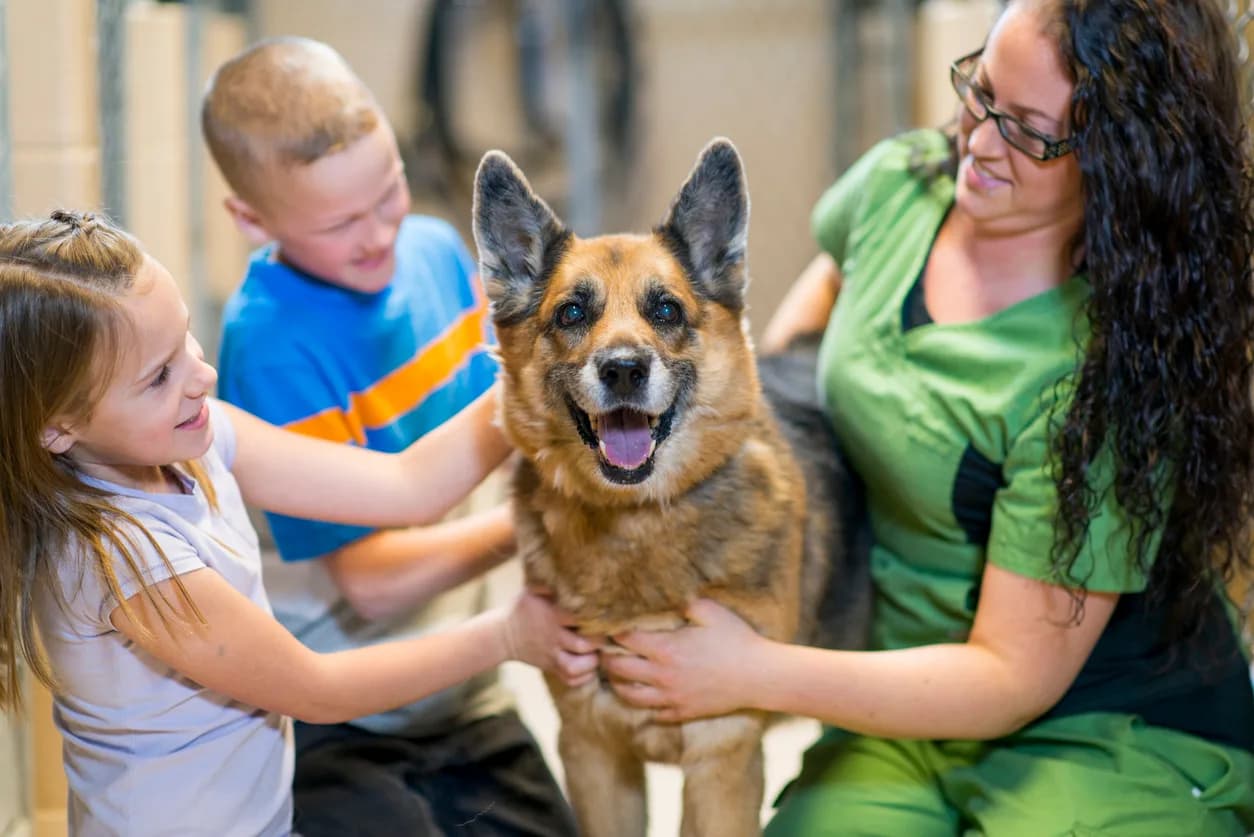 6 Issues to Consider When Adopting a Dog