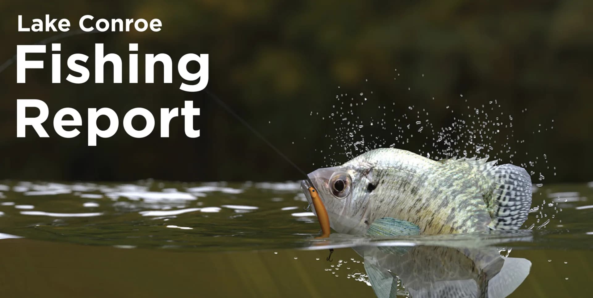 Fishing Forecast August 2021