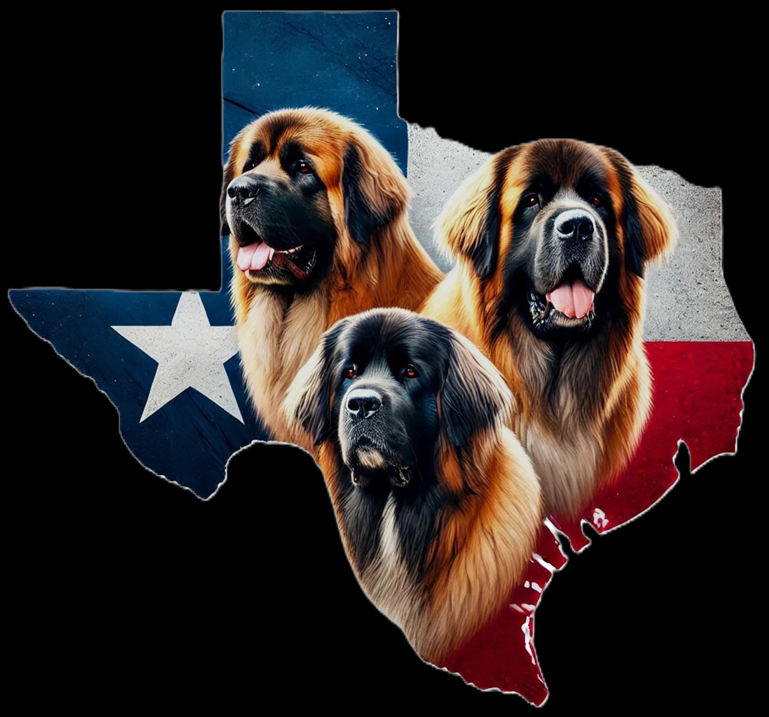Scent Trials — LCOT AKC Club