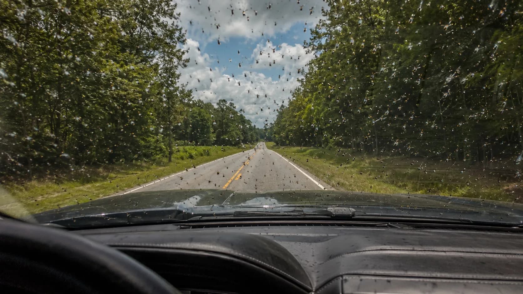 01 HERO Love Bug Rain on Highway 150