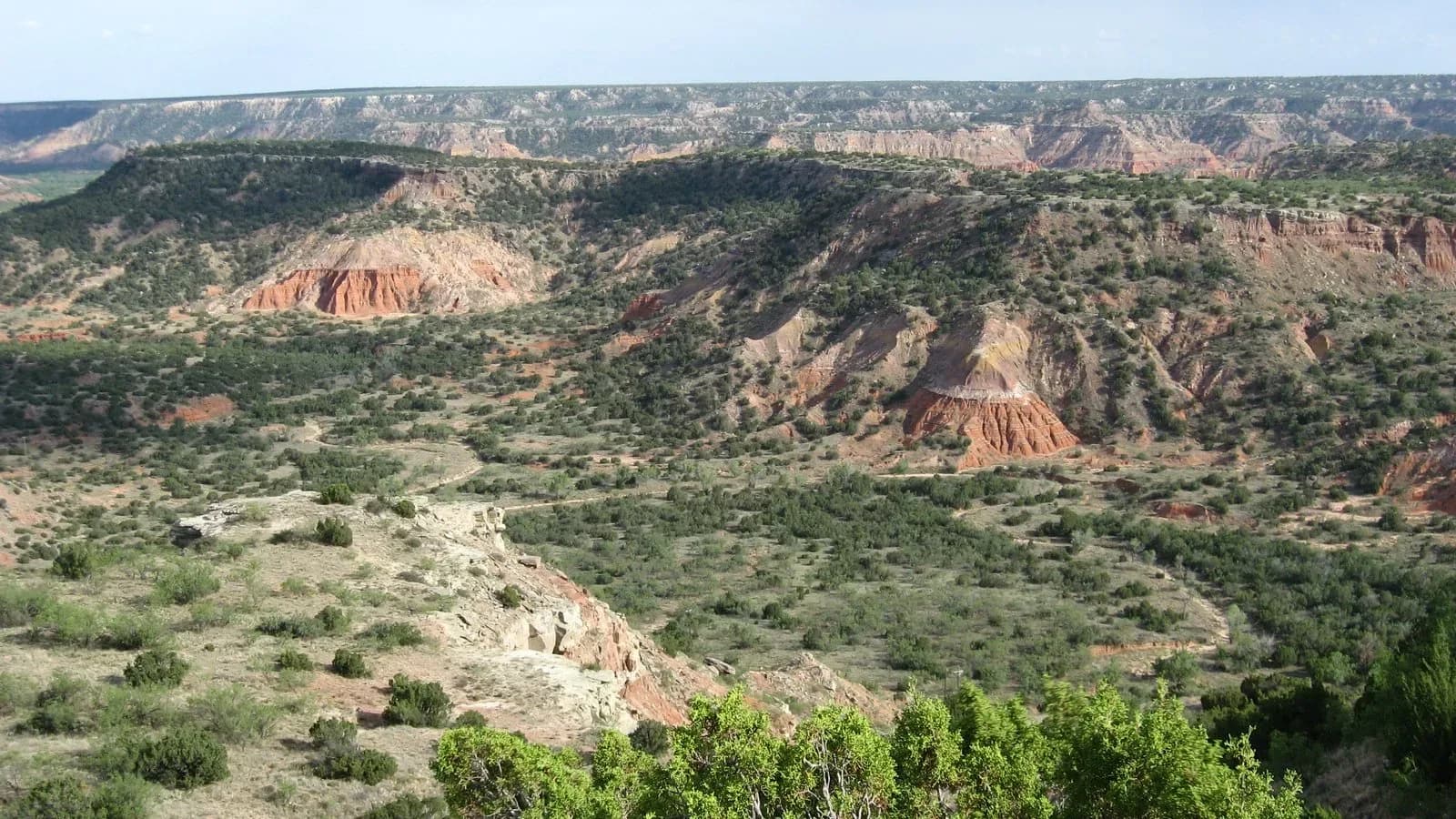 Birding Hike at Palo Duro Canyon State Park, Canyon, Texas