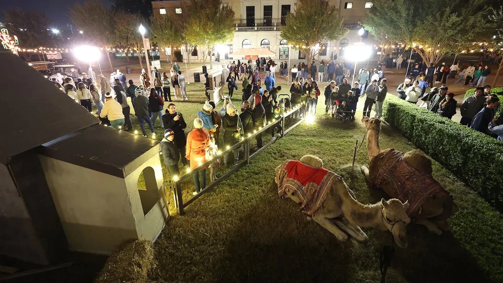 Christmas on 5th Street at Baylor, Waco, Texas