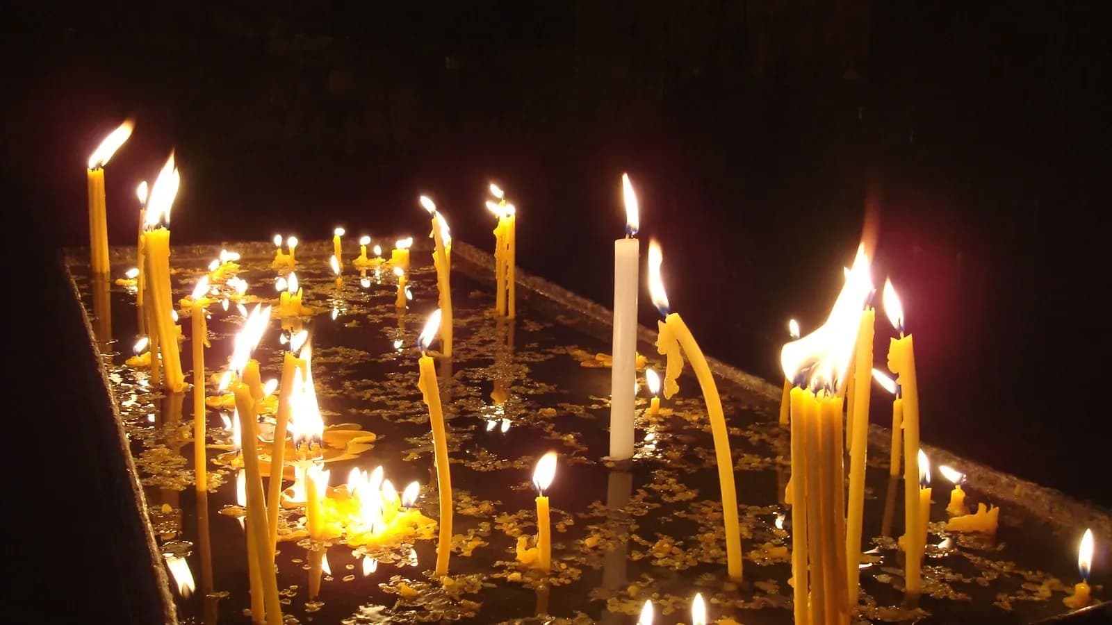 Rows of thin yellow beeswax candles and one white candle burning in a sand tray inside a dark church
