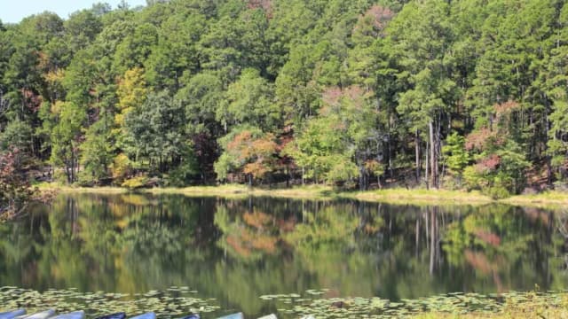 Trees reflected in the lake at Daingerfield State Park
