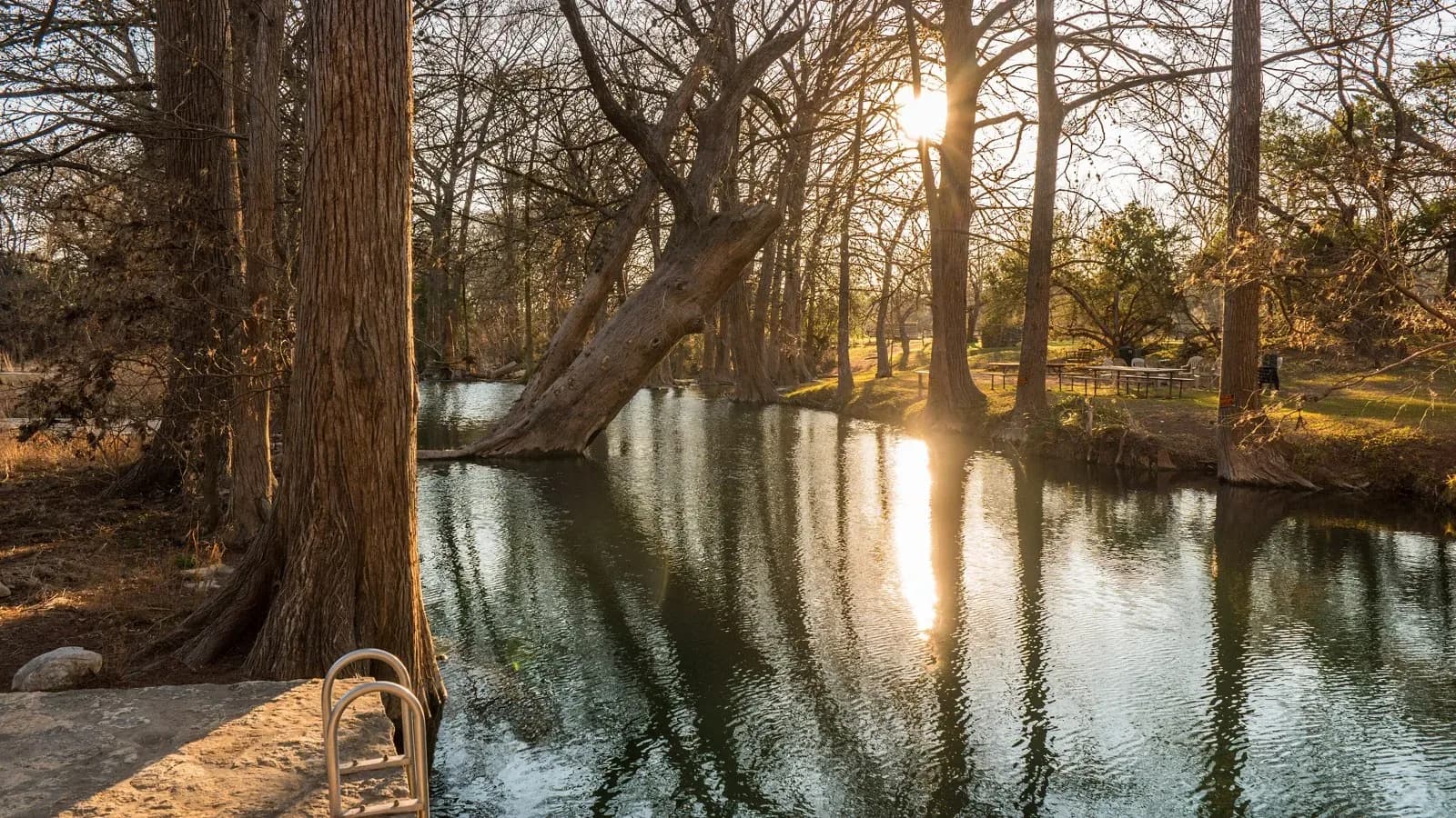 Sunlight through bare cypress trees over the green water of Cypress Creek at Blue Hole Regional Park