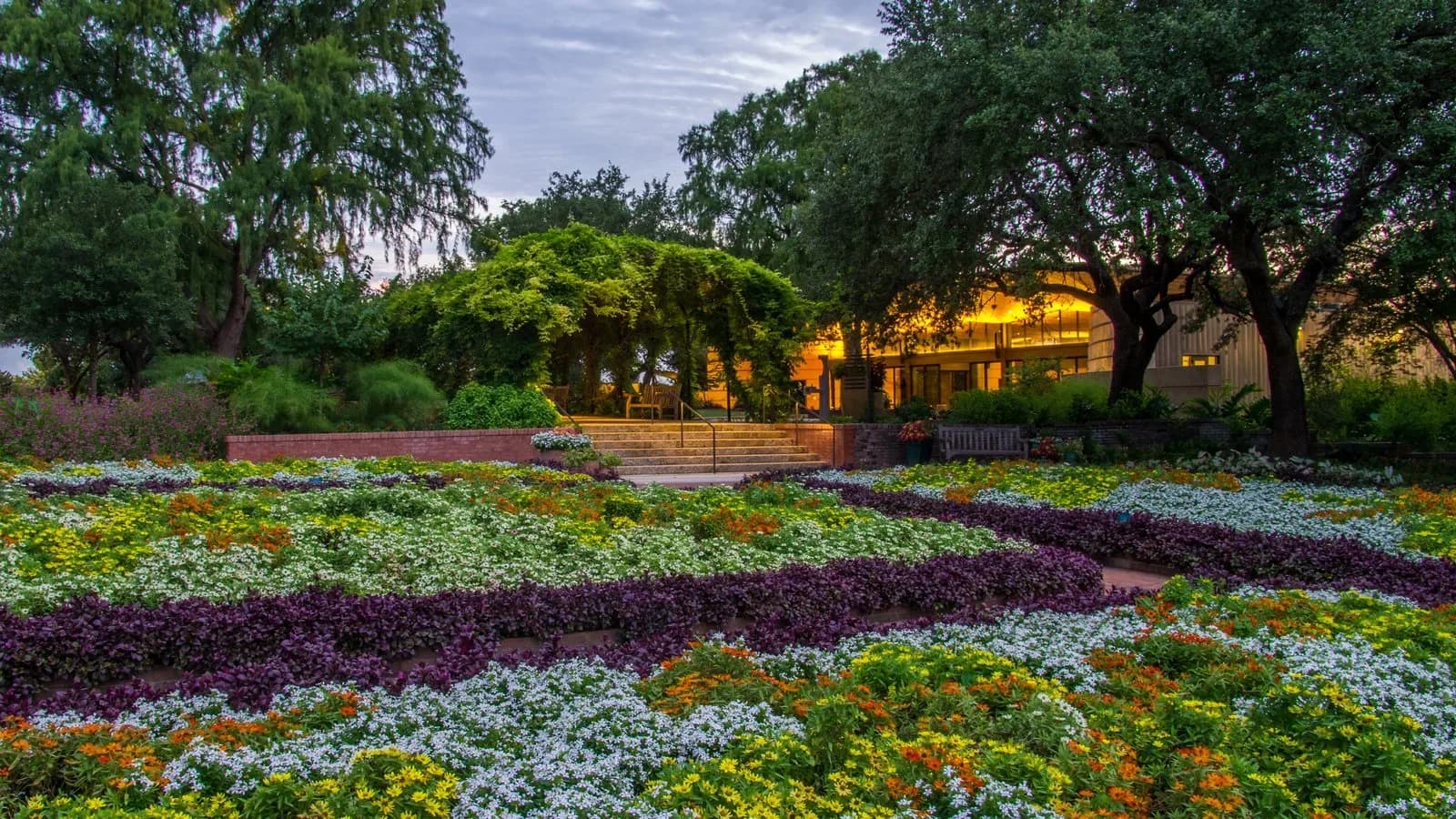 Illuminate at the San Antonio Botanical Garden, San Antonio, Texas