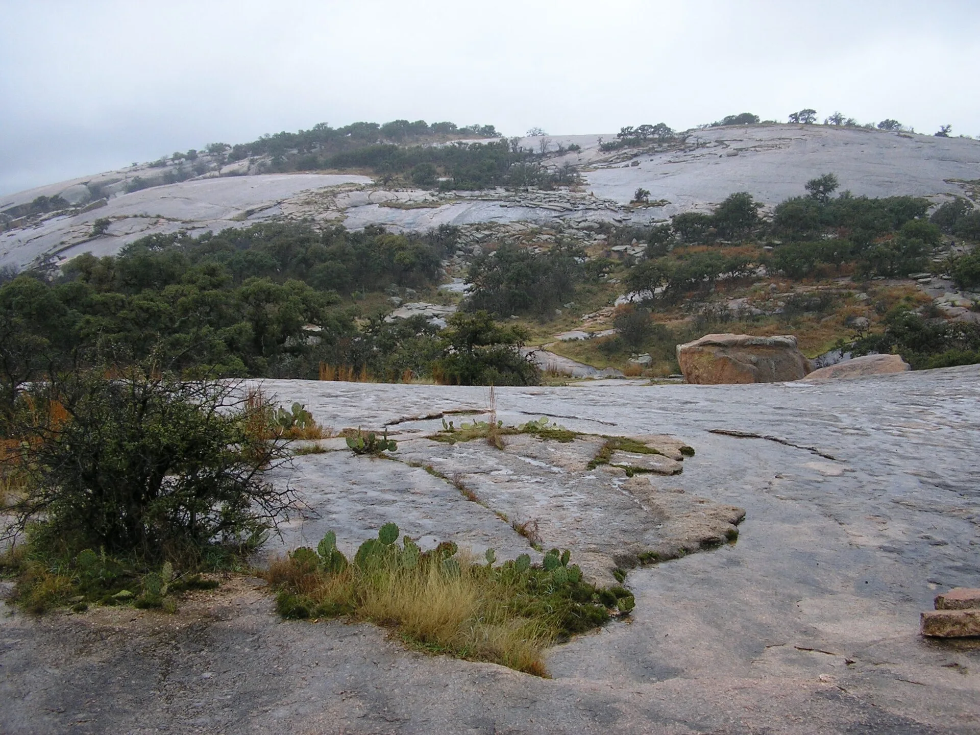 Pink granite and prickly pear at Enchanted Rock State Natural Area near Fredericksburg