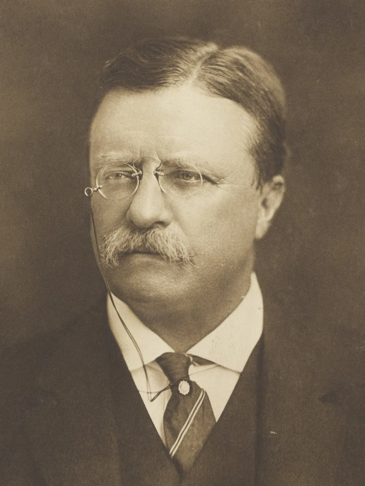 Portrait of Theodore Roosevelt in 1912