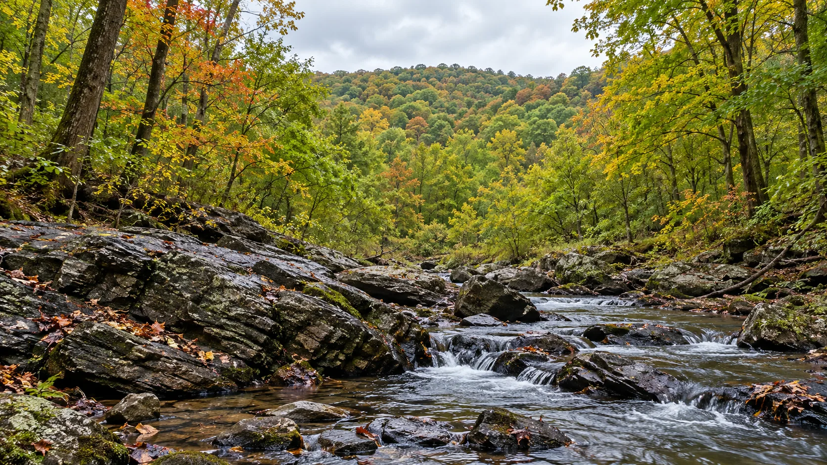 Rocky stream flowing through the rolling wooded Piedmont hills of northern Delaware