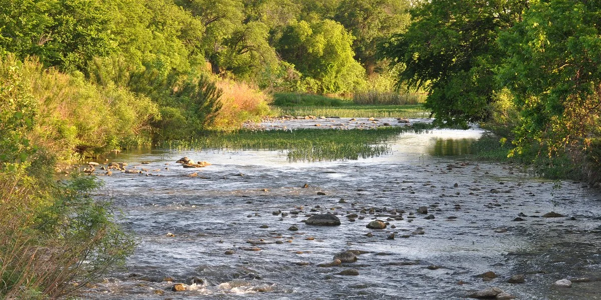The San Saba River flowing between tree-lined banks in San Saba County