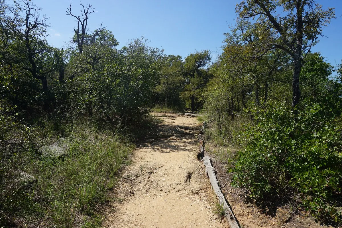 A dirt hiking trail through oaks and brush at Lake Mineral Wells State Park