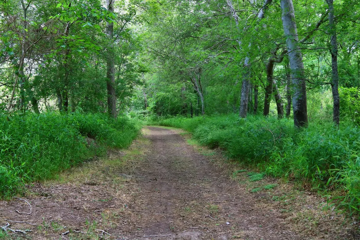 A dirt trail through shade trees along the San Antonio River at Goliad State Park