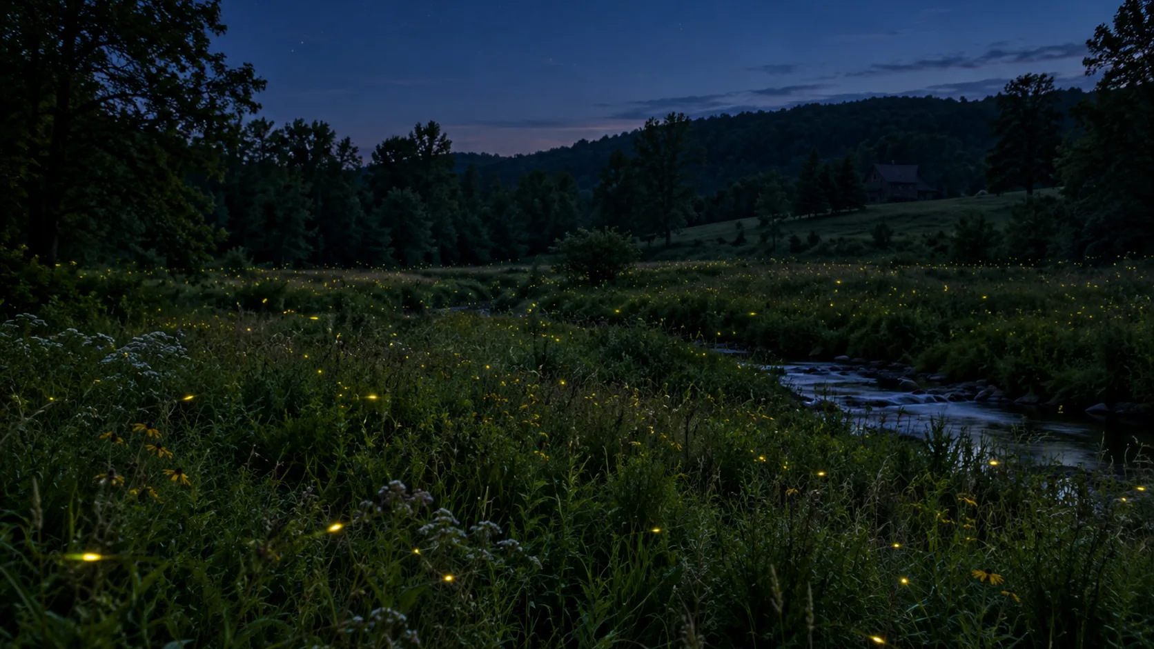 A lightly managed meadow beside water offers the darkness and habitat that fireflies need to communicate and reproduce.