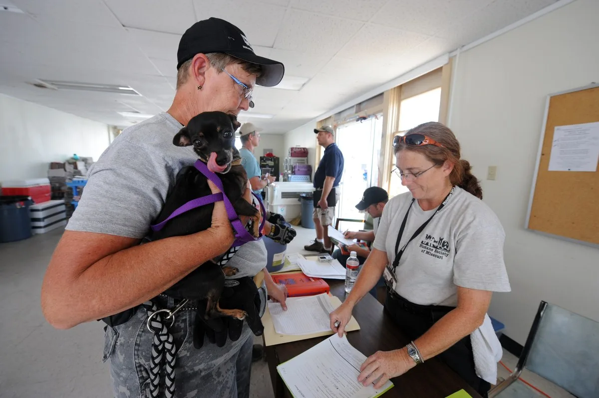 A volunteer holds a small black dog while another volunteer fills out intake paperwork at a temporary animal shelter in Texas