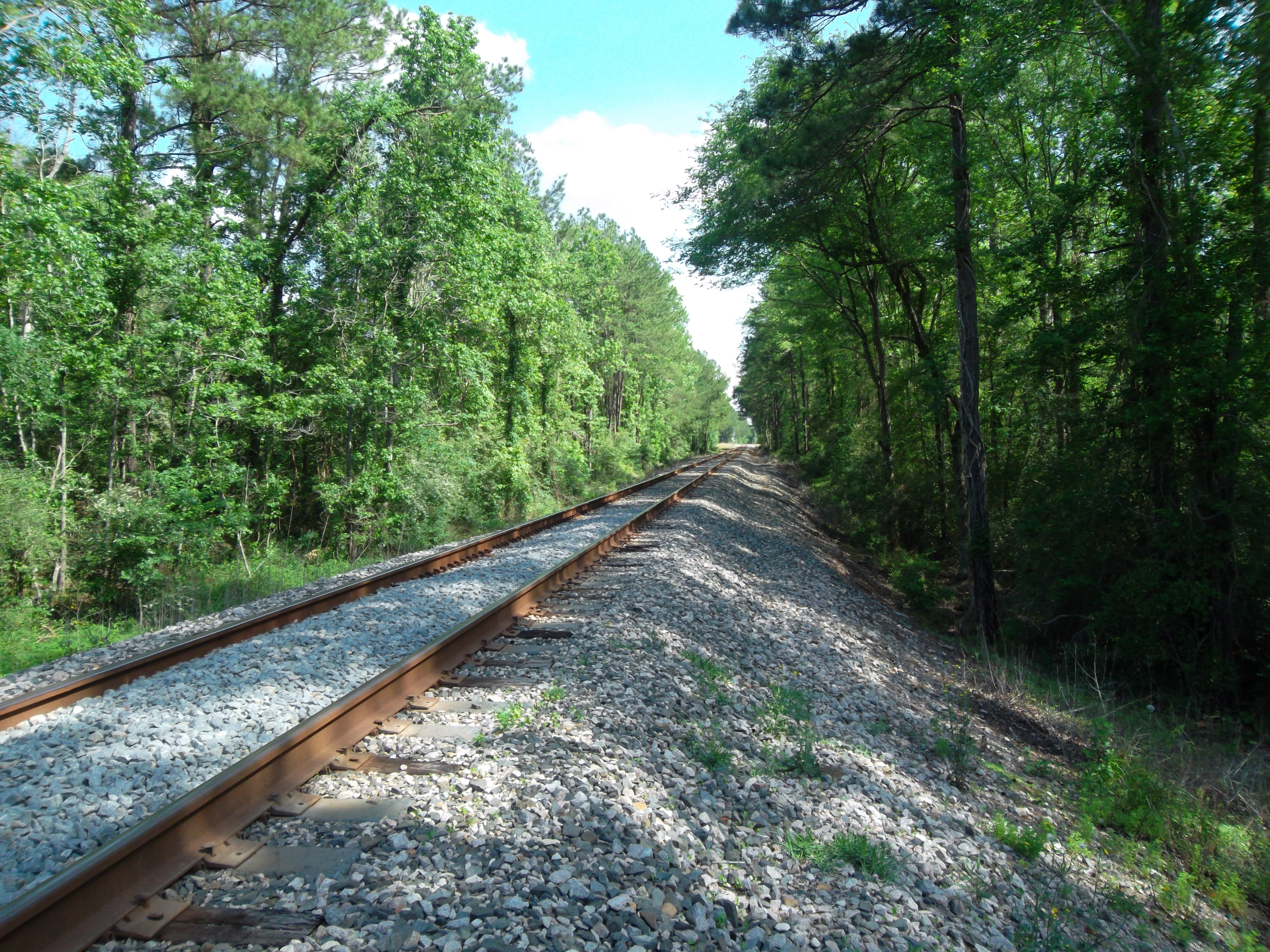Railroad tracks along Caney Creek near New Caney, Texas