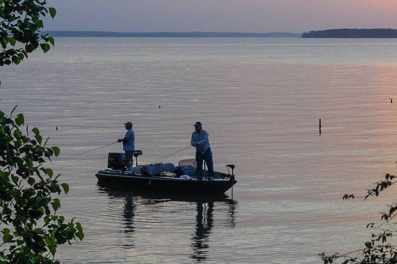 February Fishing Forecast - Dock Line Magazine