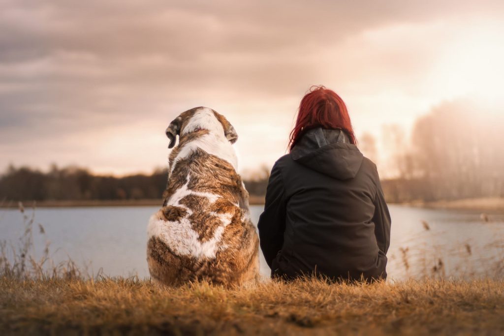 3 Signs It’s the Right Time to Get a Dog