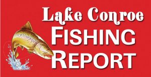 Lake Conroe Fishing Report – May 2020