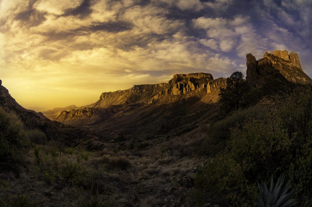 7 Reasons to Visit Big Bend National Park This Summer