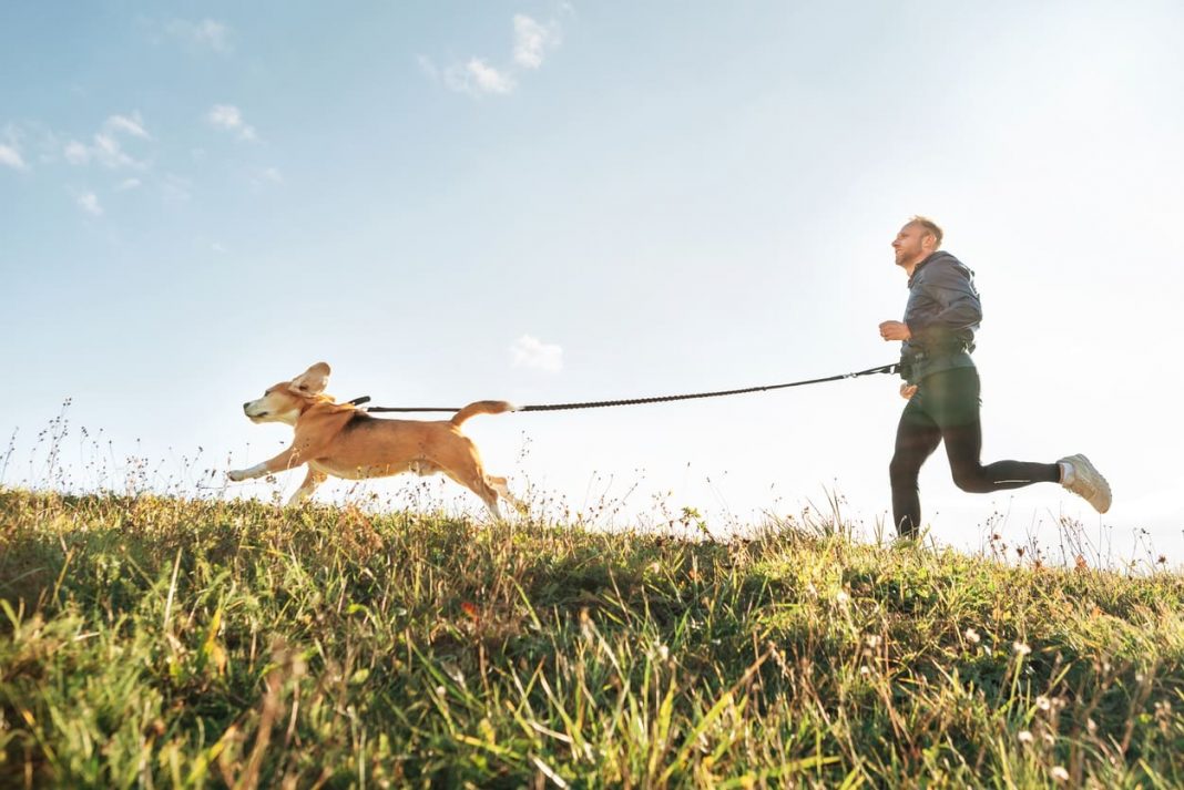 How to Keep Your Dog Healthy: 5 Essentials to Give Your Dog a Happy and Healthy Life