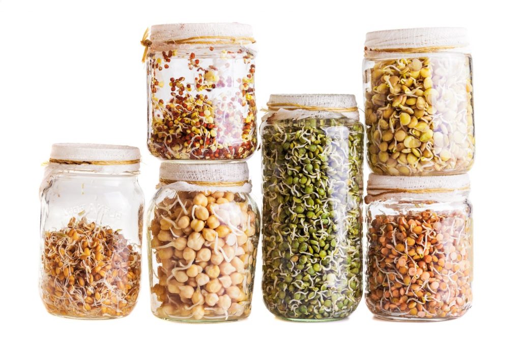 how to grow sprouts in a jar