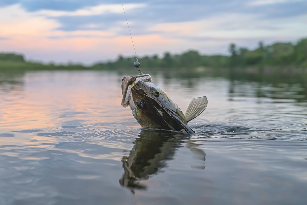 Lake conroe fishing adventures